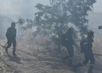 Δεύτερη ημέρα της πυρκαγιάς στην Πεντέλη, Τετάρτη 20 Ιουλίου 2022. (Φωτ.: Τατιάνα Μπόλαρη/Eurokinissi)