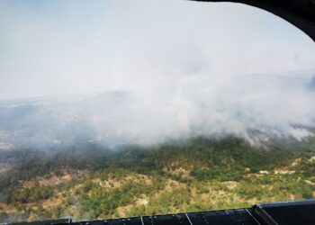 Πυρκαγιά στη Δαδιά Έβρου, Παρασκευή 22 Ιουλίου (Φωτ. : Γραφείο Τύπου ΓΕΕΘΑ/Eurokinissi)