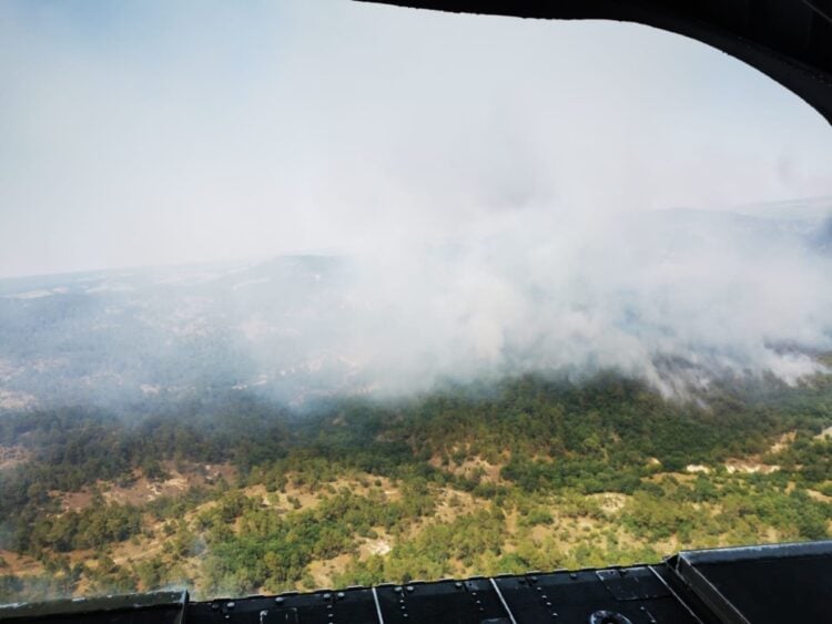 Πυρκαγιά στη Δαδιά Έβρου, Παρασκευή 22 Ιουλίου (Φωτ. : Γραφείο Τύπου ΓΕΕΘΑ/Eurokinissi)