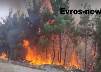 (Φωτ.: evros-news.gr)