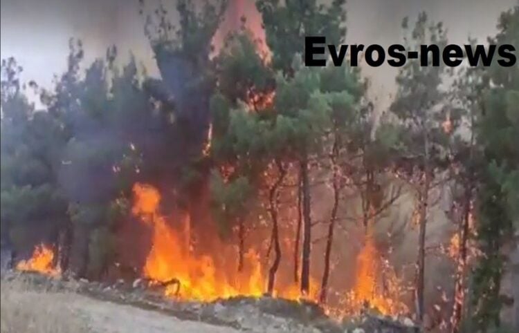 (Φωτ.: evros-news.gr)