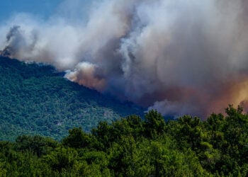 (Φωτ. αρχείου: EUROKINISSI / Παναγιώτης Μπαλάσκας)