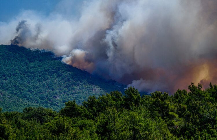 (Φωτ. αρχείου: EUROKINISSI / Παναγιώτης Μπαλάσκας)