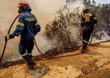 Λήψη από την περιοχή Ρογκάδα των Βατερών, στη Λέσβο,  Σάββατο 23 Ιουλίου 2022  (φωτ.: Παναγιώτης 
Μπαλάσκας / EUROKINISSI)