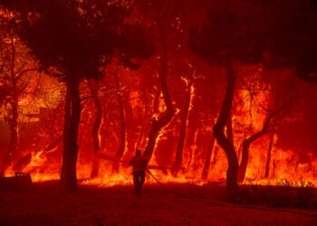 (Φωτ.: EUROKINISSI / Παναγιώτης Μπαλάσκας)