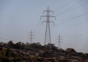 Καμένη γη στη Μάνδρα (φωτ.: EUROKINISSI / Σωτήρης Δημητρόπουλος)