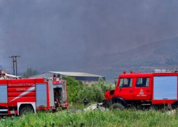 Πυροσβέστες επιχειρούν στην κατάσβεση της πυρκαγιάς σε περιοχή του Άργους (φωτ. αρχείου: ΑΠΕ-ΜΠΕ/Ευάγγελος Μπουγιώτης)