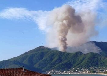 Φωτιά στη Σκάλα Ποταμιάς στη Θάσο (Φωτ.: ΑΠΕ-ΜΠΕ)