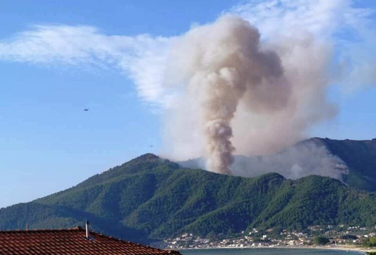 Φωτιά στη Σκάλα Ποταμιάς στη Θάσο (Φωτ.: ΑΠΕ-ΜΠΕ)