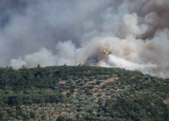 (Φωτ.: EUROKINISSI / Παναγιώτης Μπαλάσκας)