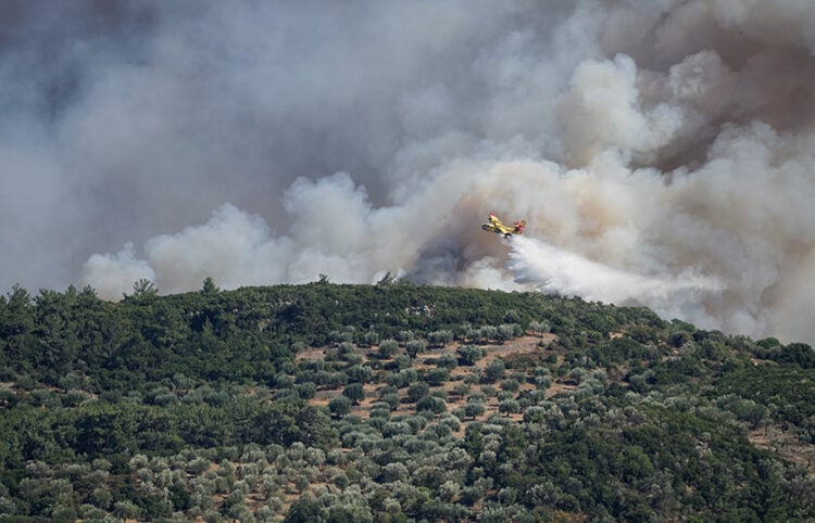 (Φωτ.: EUROKINISSI / Παναγιώτης Μπαλάσκας)