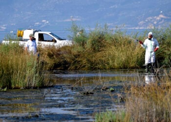 Ψεκασμοί για τον ιό του Δυτικού Νείλου στην Αργολίδα (φωτ.: EUROKINISSI / Βασίλης Παπαδόπουλος)