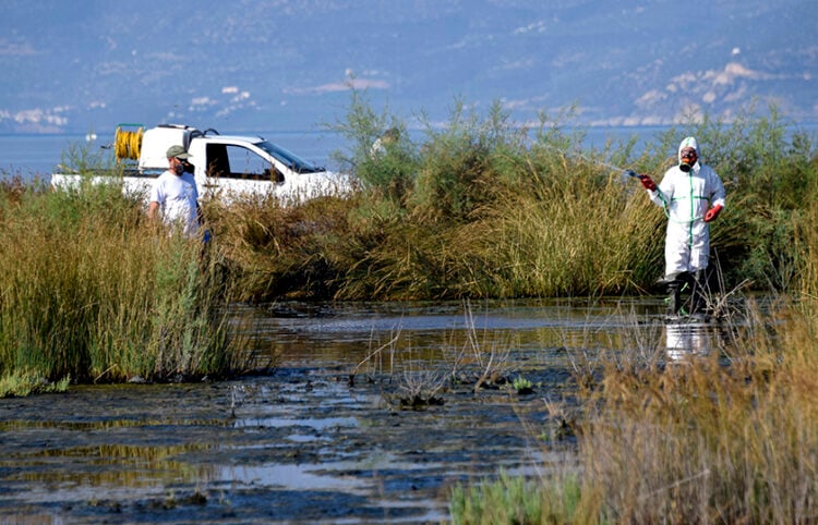 Ψεκασμοί για τον ιό του Δυτικού Νείλου στην Αργολίδα (φωτ.: EUROKINISSI / Βασίλης Παπαδόπουλος)