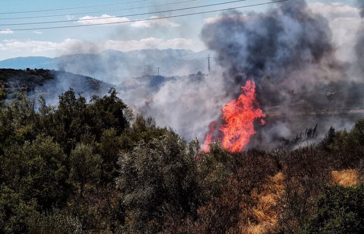 (Φωτ.: αρχείο ΑΠΕ-ΜΠΕ / Ευάγγελος Μπουγιώτης)