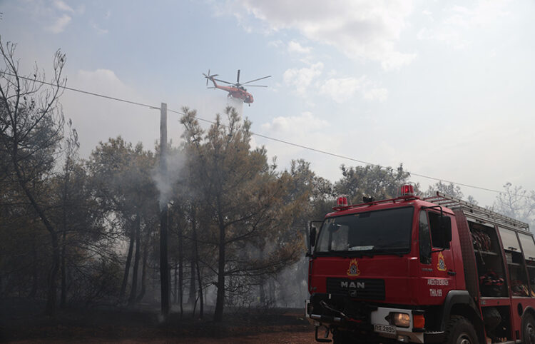 (Φωτ.: αρχείο EUROKINISSI / Ραφαήλ Γεωργιάδης)