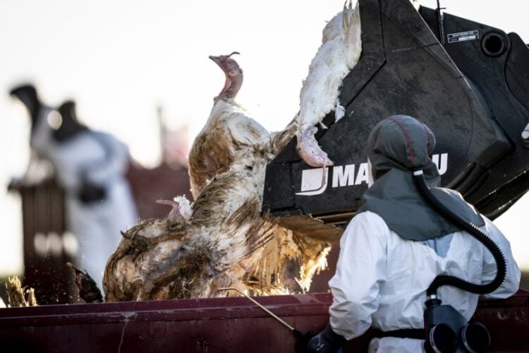 (Φωτ. αρχείου: EPA/MADS CLAUS RASMUSSEN)