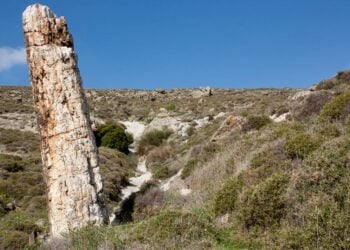 (Πηγή: lesvosgeopark.gr)