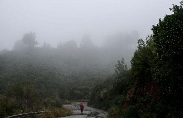 (Φωτ.: Μιχάλης Καραγιάννης / Eurokinissi)