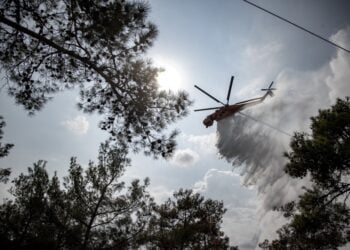 H διάρκεια και η ένταση των κυμάτων καύσωνα που έπληξαν την Ευρώπη στη διάρκεια του καλοκαιριού, σε συνδυασμό με τις γενικές συνθήκες ξηρασίας στην ήπειρο το 2022, συνέβαλαν σ' αυτά τα επίπεδα ρεκόρ (φωτ.: EUROKINISSI/Ραφαήλ Γεωργιάδης)