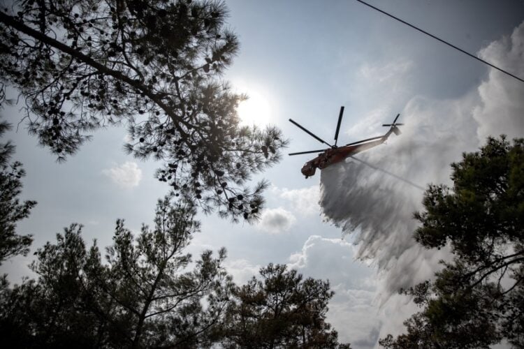 H διάρκεια και η ένταση των κυμάτων καύσωνα που έπληξαν την Ευρώπη στη διάρκεια του καλοκαιριού, σε συνδυασμό με τις γενικές συνθήκες ξηρασίας στην ήπειρο το 2022, συνέβαλαν σ' αυτά τα επίπεδα ρεκόρ (φωτ.: EUROKINISSI/Ραφαήλ Γεωργιάδης)