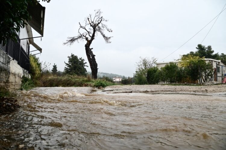 Ορισμένοι δρόμοι στην Κέρκυρα είχαν υποστεί κατολισθήσεις τις προηγούμενες ημέρες κι έχουν κλείσει για την κυκλοφορία των οχημάτων από το μεσημέρι του Σαββάτου και μέχρι νεότερης ενημέρωσης (φωτ. αρχείου: EUROKINISSI/Μιχάλης Καραγιάννης)