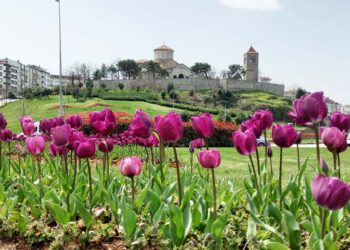 Το μοναστικό συγκρότημα της Αγίας Σοφίας Τραπεζούντας (φωτ.: Mehmet Küçük)