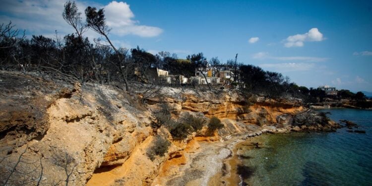 Το οικόπεδο στο Κόκκινο Λιμάνι στο οποίο έχασαν τη ζωή τους 26 άνθρωπ. Τετάρτη 25/7/2018. (Φωτ.: Eurokinissi/Θανάσης Δημόπουλος)