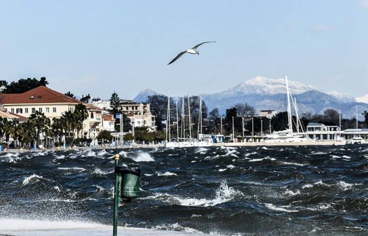 (Φωτ.: EUROKINISSI / Γιώργος Ευσταθίου)