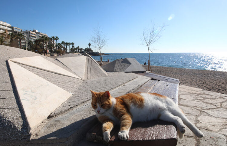 (Φωτ.: EUROKINISSI / Γιάννης Παναγόπουλος)