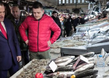 Επίσκεψη του υπουργού Ανάπτυξης Άδωνι Γεωργιάδη και του αναπληρωτή υπουργού Νίκου Παπαθανάση στη Βαρβάκειο, Πέμπτη 23 Φεβρουαρίου 2023. (Φωτ.: Eurokinissi/Κώστας Τζούμας)