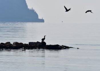 Στιγμιότυπο από την παραλία Καραθώνα στο Ναύπλιο (φωτ. αρχείου: ΑΠΕ-ΜΠΕ /Ευάγγελος Μπουγιώτης)