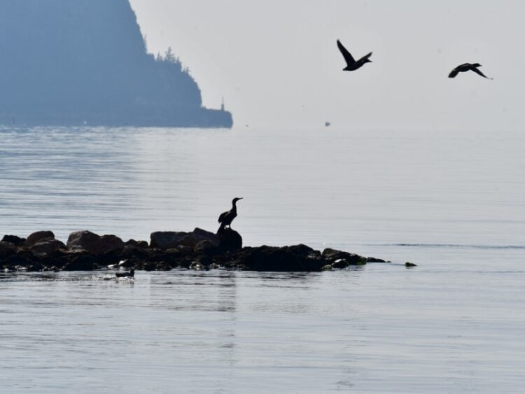 Στιγμιότυπο από την παραλία Καραθώνα στο Ναύπλιο (φωτ. αρχείου: ΑΠΕ-ΜΠΕ /Ευάγγελος Μπουγιώτης)