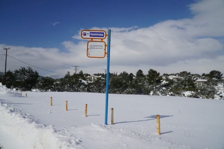 Εικόνα από τα Βίλια Αττικής, χθες το πρωί 
(φωτ.: Γιώργος Κονταρίνης/ EUROKINISSI)