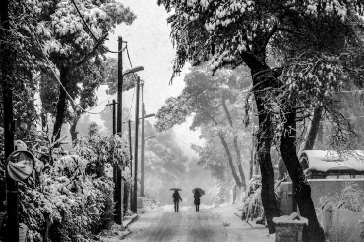 Στη Βόρεια Εύβοια και στη Μαγνησία είναι πιθανό να σημειωθούν έως 20-40 εκατοστά χιονιού, ενώ χιονοστρώσεις αναμένονται και σε περιοχές με χαμηλότερο υψόμετρο (φωτ.: EUROKINISSI/Μιχάλης Καραγιάννης)