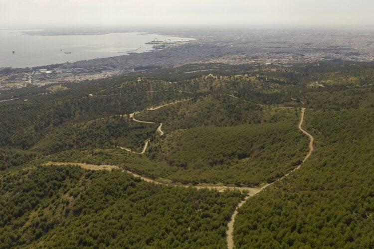 Στο μνημόνιο προβλέπεται να ενισχυθούν τα δασικά οικοσυστήματα απέναντι στα έντονα φυσικά φαινόμενα και τις καταστροφές (φωτ.: ΑΠΕ-ΜΠΕ/Δημητρης Τοσιδης)