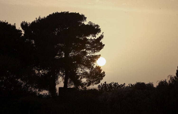 Αφρικανική σκόνη στον ουρανό της Αθήνας (φωτ. αρχείου: EUROKINISSI / Θανάσης Δημόπουλος)