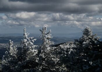 Τα πρώτα χιόνια έχουν ήδη πέσει στην Πάρνηθα (φωτ.: EUROKINISSI/Μιχάλης Καραγιάννης)