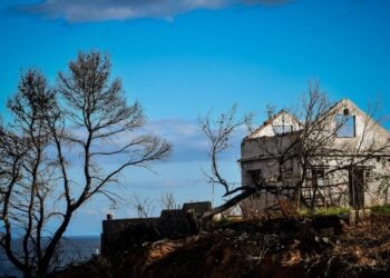 Σε παρατήρηση συνηγόρου υπεράσπισης ότι οι πιλότοι είχαν δηλώσει πως αν πετούσαν την ημέρα εκείνη, λόγω των καιρικών συνθηκών πιθανότατα θα είχε συμβεί ατύχημα, ο επιπυραγός αντέτεινε ότι δεν προέκυψε από πουθενά πως επιχείρησαν και δεν τα κατάφεραν (φωτ.: EUROKINISSI/Τατιάνα Μπόλαρη)