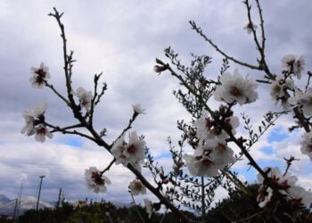 Οι αραιές νεφώσεις στο μεγαλύτερο μέρος της χώρας βαθμιαία θα πυκνώσουν και πιθανώς να σημειωθούν τοπικές βροχές γενικά μικρής έντασης (φωτ.: EUROKINISSI/Βασίλης Παπαδόπουλος)