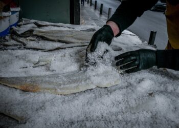 Σύμφωνα με τον υπουργό Ανάπτυξης, αν ο μπακαλιάρος είναι παστός, η τιμή ανεβαίνει και μπορεί να φτάσει και τα 20 ευρώ (φωτ.: EUROKINISSI/Τατιάνα Μπόλαρη)