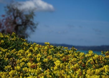 (Φωτ.: EUROKINISSI / Γιώργος Κονταρίνης)