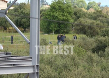 Το χωράφι όπου έγινε το έγκλημα στην Κάτω Αχαΐα (φωτ.: thebest.gr)