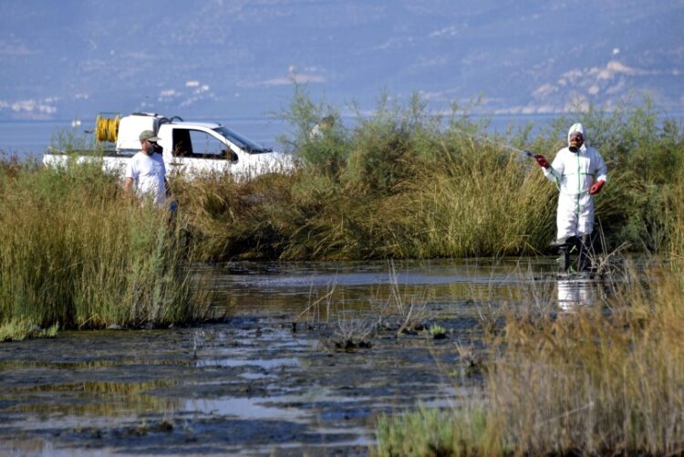 Oι ψεκασμοί από εδάφους έχουν ξεκινήσει από τις αρχές του μήνα στα 160.000 στρέμματα που καλύπτουν τα 16 υγροτοπικά συστήματα της Κεντρικής Μακεδονίας (φωτ. αρχείου: EUROKINISSI/Βασίλης Παπαδόπουλος)