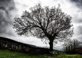 Λίγες νεφώσεις παροδικά αυξημένες με τοπικές βροχές αναμένονται σήμερα κυρίως στα δυτικά και τα βόρεια έως τις απογευματινές ώρες (φωτ.: EUROKINISSI/Ραφαήλ Γεωργιάδης)