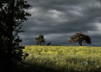 Στα δυτικά θα σημειωθούν σποραδικές καταιγίδες όπου από αργά το απόγευμα τα φαινόμενα πιθανώς θα είναι κατά τόπους ισχυρά (φωτ.: EUROKINISSI/Μιχάλης Καραγιάννης)