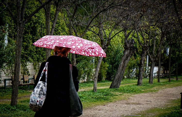 (Φωτ.: EUROKINISSI / Γιώργος Κονταρίνης) 
 
  
 
(ΚΟΝΤΑΡΙΝΗΣ ΓΙΩΡΓΟΣ EUROKINSSI