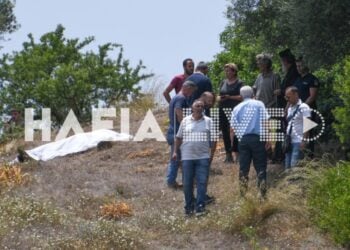 Η σορός του Παναγιώτη Μενούνου κείτεται στο κτήμα, όπου πριν από λίγη ώρα βοσκούσαν οι κατσίκες του, προκαλώντας την οργή του 82χρονου δολοφόνου (φωτ.: Ilialive)