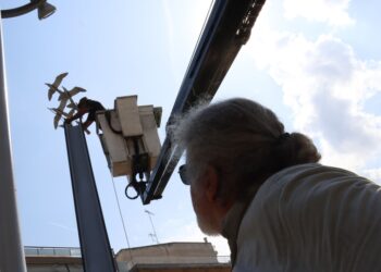 Στιγμιότυπο από τις τελευταίες εργασίες στο πάρκο Μνήμης για το στήσιμο του μνημείου (φωτ.: Δήμος Νεάπολης-Συκεών)