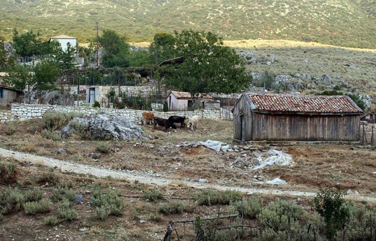 Ποιμνιοστάσιο (φωτ.: αρχείο EUROKINISSI)