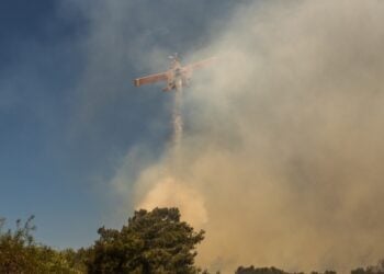 Πυροσβεστικό αεροσκάφος επιχειρεί στο Βάτι της Ρόδου (Eurokinissi/Λευτέρης Δαμιανίδης)